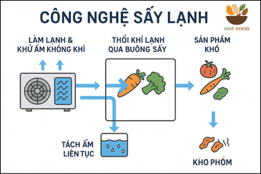 Công nghệ sấy lạnh trái cây