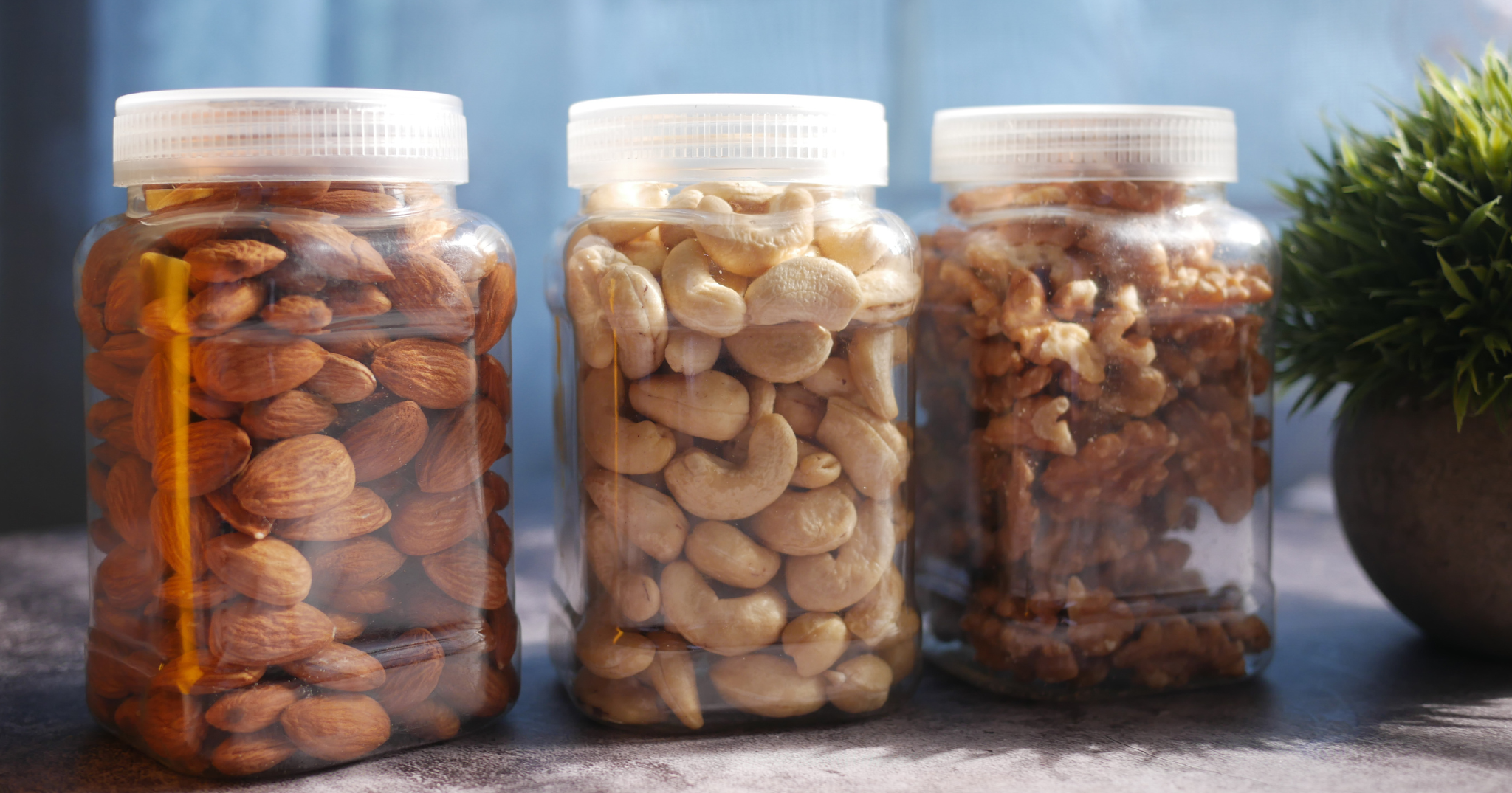 bảo quản hạt dinh dưỡng