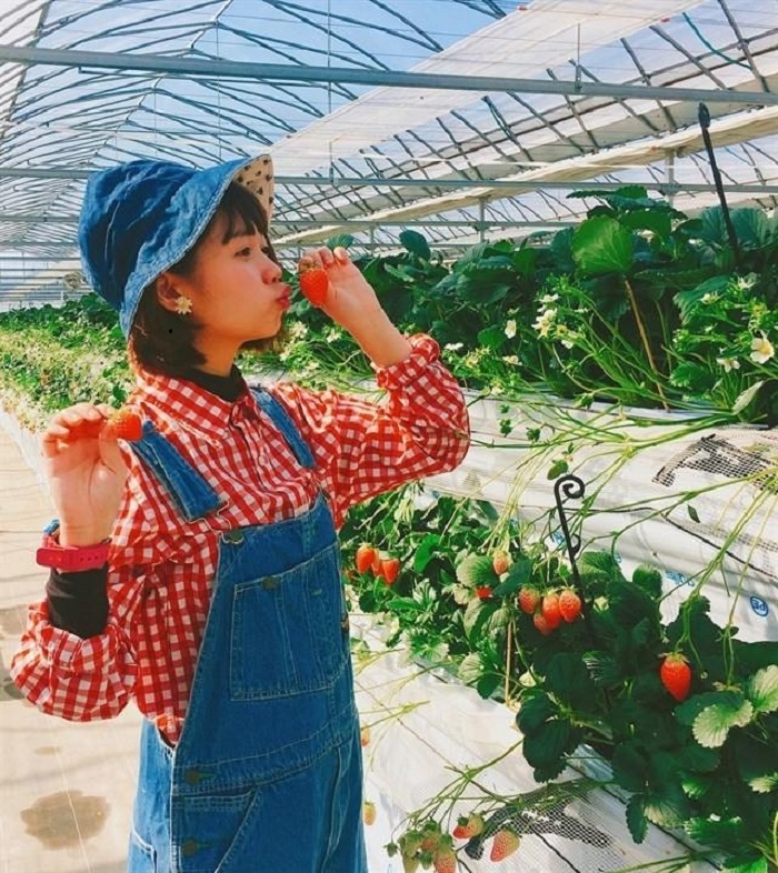 Dâu tây đà lạt