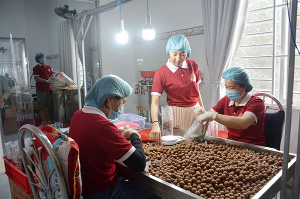 Quy trình xử lí sản phẩm